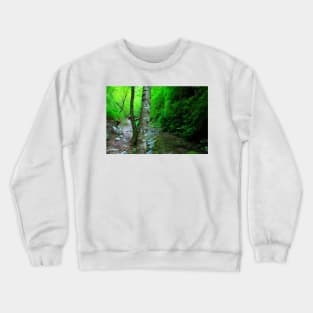 View from Sarnano on the road to Cascata del Pellegrino with trunks, waters, pebbles, greenery Crewneck Sweatshirt